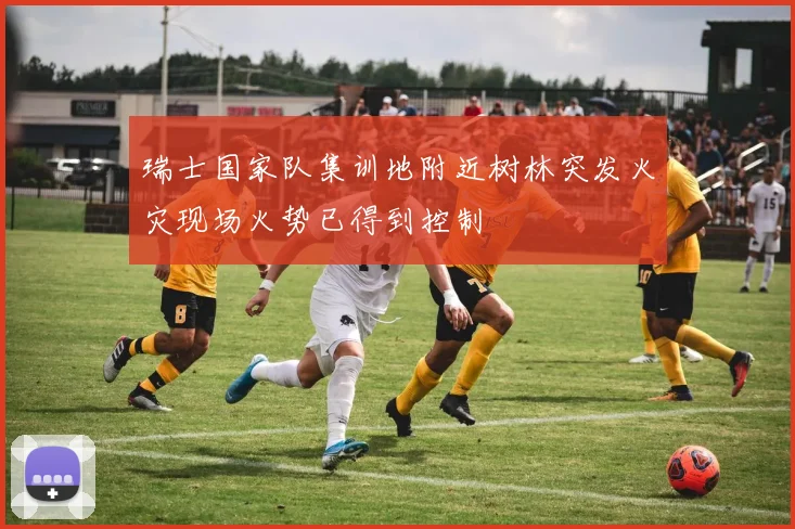 瑞士国家队集训地附近树林突发火灾现场火势已得到控制